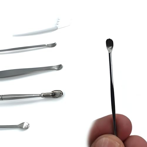 Gambit Ear Cleaning Tool,Ear Wax Remover Stainless Steel Tool kit, Reusable Ear Cleaner Buds,Ear Cleaner Gadgets Home, Spring Ear Pick, Wax Remover for Ears with Case(5pc)