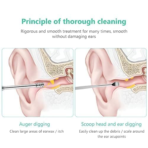 Gambit Ear Cleaning Tool,Ear Wax Remover Stainless Steel Tool kit, Reusable Ear Cleaner Buds,Ear Cleaner Gadgets Home, Spring Ear Pick, Wax Remover for Ears with Case(5pc)
