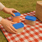 Apex Glory Plastic Storage Container Box Set (4 Pc)